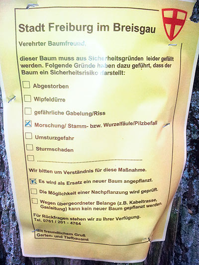 Freiburg: Info an einem Baum
