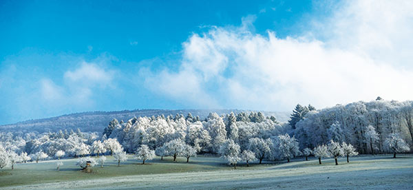 Schneebedeckte Wiese am Speyererhof