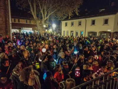 Sehr viele Teilnehmer am Martinszug in Rohrbach.