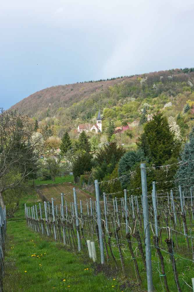 Weinberge, Melanchthonkirche